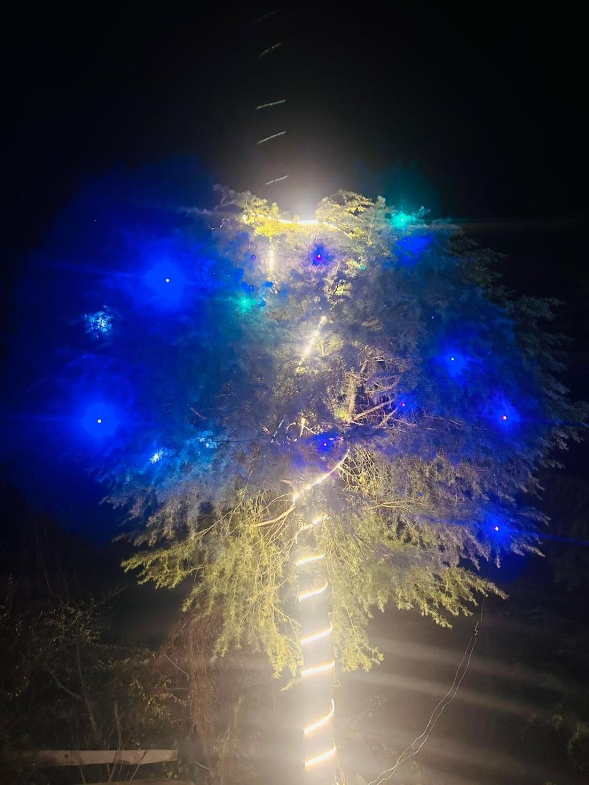 Tree Hub Jibhi Apartment Exterior photo
