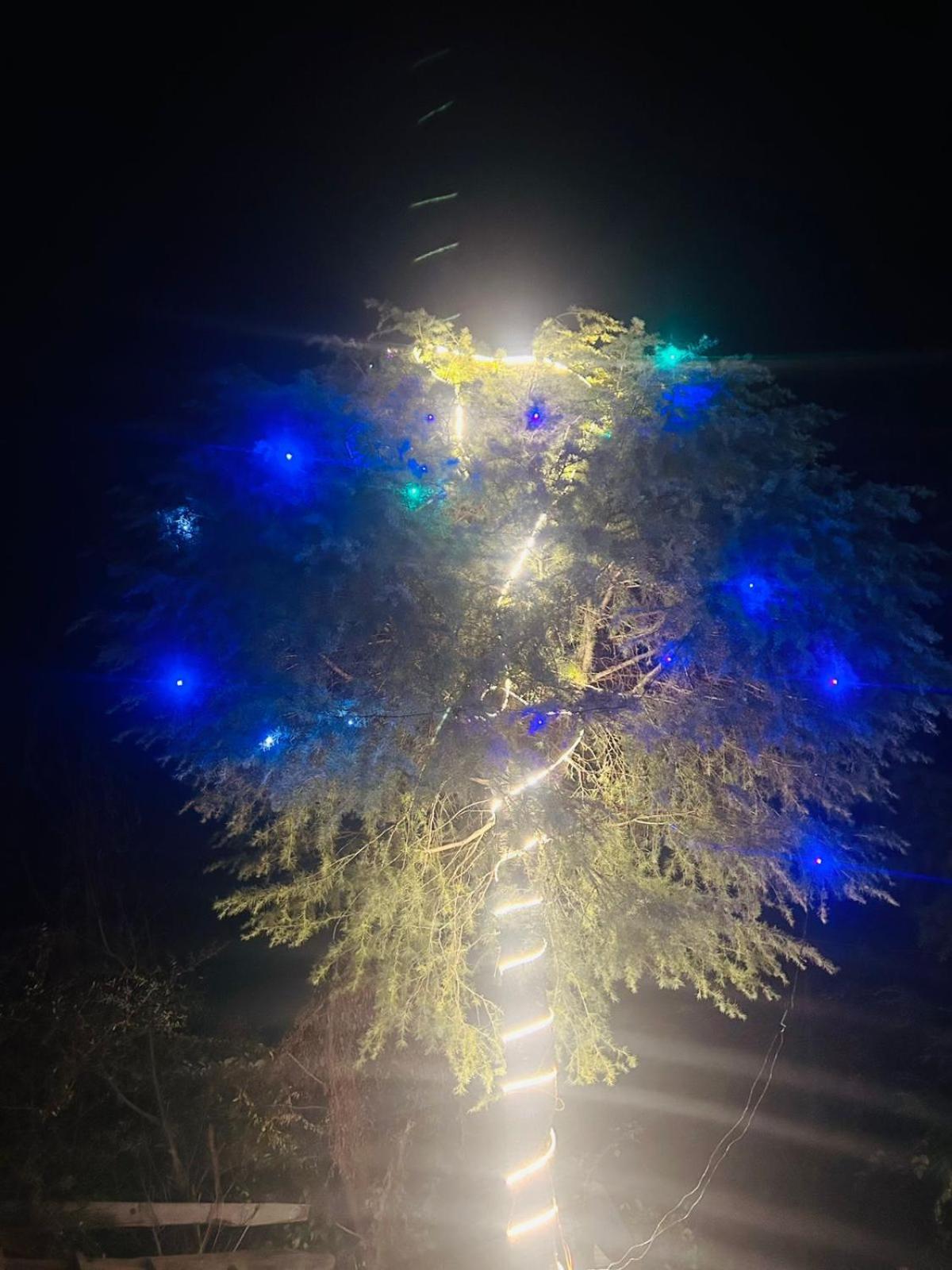 Tree Hub Jibhi Apartment Exterior photo